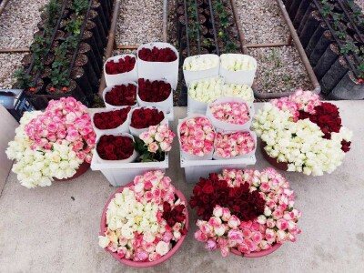 Կոդ K-0203   Վաճառվում է ՋԵՐՄՈՑԱՅԻՆ ՏՆՏԵՍՈՒԹՅՈՒՆ