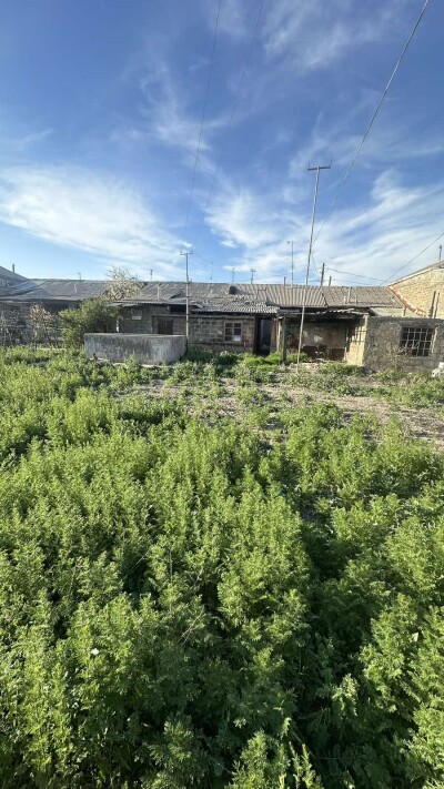 Կոդ HA-6594  Վաճառվում է տնամերձ հող