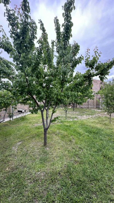 Կոդ AA-0143 Վաճառվում է նորակառույց առանձնատուն