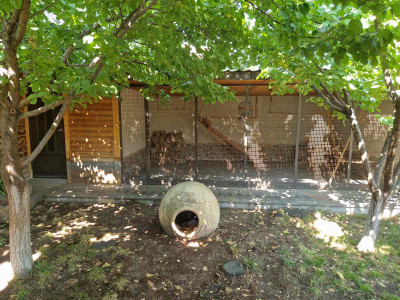 Code AA-6041 – House for sale