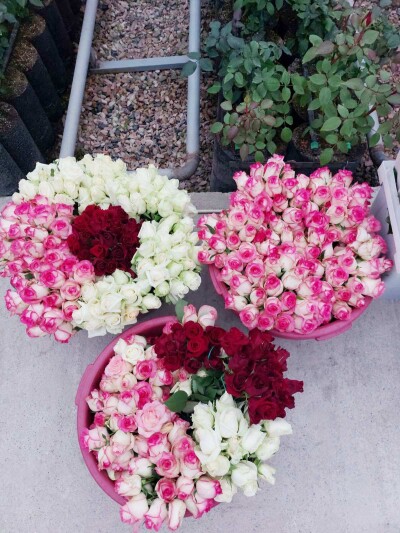 Կոդ K-0203   Վաճառվում է ՋԵՐՄՈՑԱՅԻՆ ՏՆՏԵՍՈՒԹՅՈՒՆ