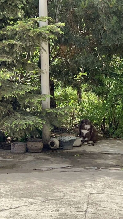 Կոդ A-7205   Վաճառվում է առանձնատուն