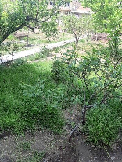 Կոդ AS-0339 Վաճառվում է նորակառույց առանձնատուն