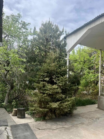 Կոդ A-7205   Վաճառվում է առանձնատուն