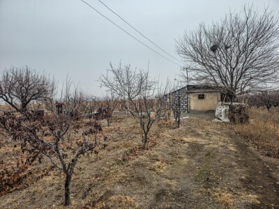 Կոդ KH-3322 Վաճառվում է ԿՈՄԵՐՑԻՈՆ ՏԱՐԱԾՔ