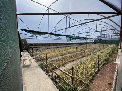 Կոդ  AS-1558   Վաճառվում է առանձնատուն