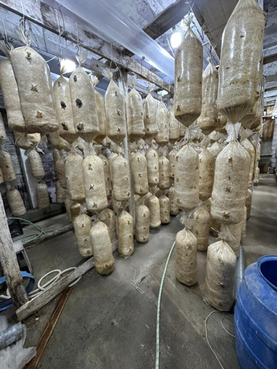 Կոդ KS-5578  Վաճառվում է ԳՈՐԾՈՂ ԲԻԶՆԵՍ