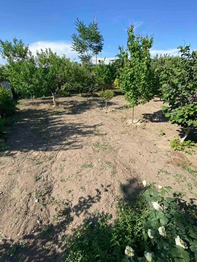 Կոդ AE-7717 Վաճառվում է առանձնատուն