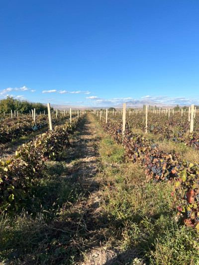 Code KS-0340 Land for sale