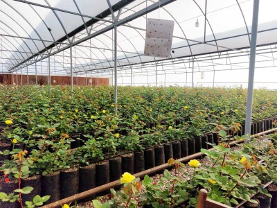 Կոդ K-0203   Վաճառվում է ՋԵՐՄՈՑԱՅԻՆ ՏՆՏԵՍՈՒԹՅՈՒՆ