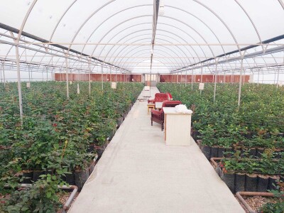 Կոդ K-0203   Վաճառվում է ՋԵՐՄՈՑԱՅԻՆ ՏՆՏԵՍՈՒԹՅՈՒՆ