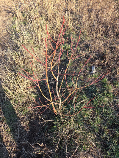 Code KS-7404 – Land for sale