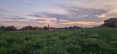 Կոդ KA-7891  Վաճառվում է հողատարածք