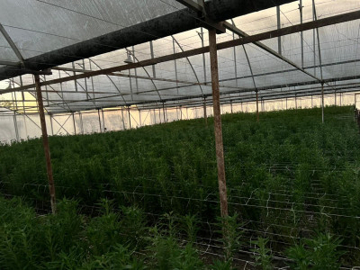 Code KS-5446 Operating Business for Sale