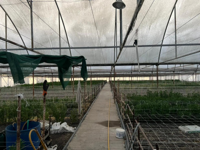 Code KS-5446 Operating Business for Sale