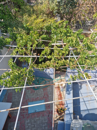 Code AA-0628. House for sale.