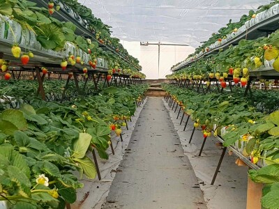 Կոդ KH-0006  Վաճառվում է ԳՈՐԾՈՂ ԲԻԶՆԵՍ