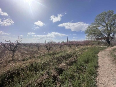 Code KS-9502. A plot of land is for sale.