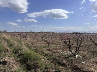 Code KS-9502. A plot of land is for sale.