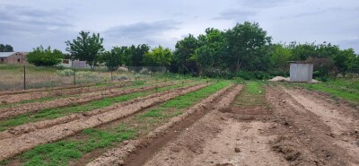 Code HA-4428. A plot of land is for sale.