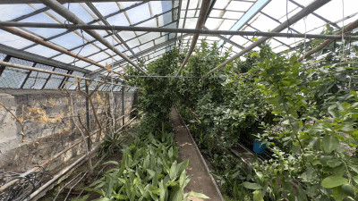 Code AA-0301. House for sale.