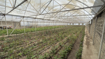 Code AA-0301. House for sale.