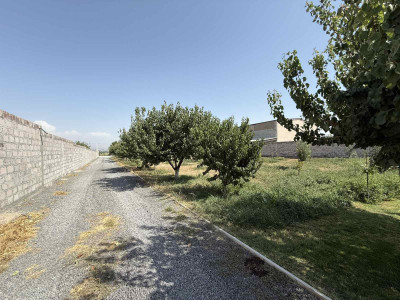 Code KA-2629 Operating Business for Sale