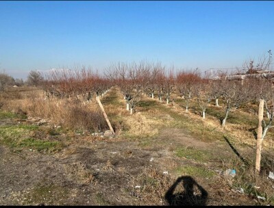 Կոդ HA-7208  Վաճառվում է հողատարածք