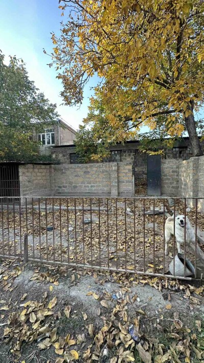 Կոդ AA-2266   Վաճառվում է առանձնատուն