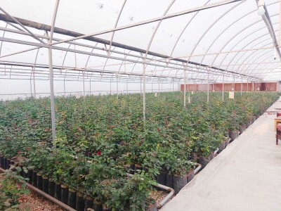 Կոդ KA-0306  Վաճառվում է ՋԵՐՄՈՑԱՅԻՆ ՏՆՏԵՍՈՒԹՅՈՒՆ