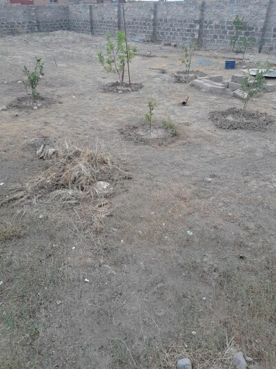 Կոդ HS-0894  Վաճառվում է տնամերձ հող