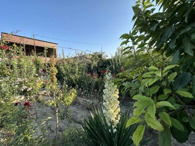 Կոդ AE-6001  Վաճառվում է նորակառույց առանձնատուն