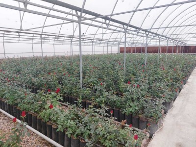 Կոդ KA-0306  Վաճառվում է ՋԵՐՄՈՑԱՅԻՆ ՏՆՏԵՍՈՒԹՅՈՒՆ