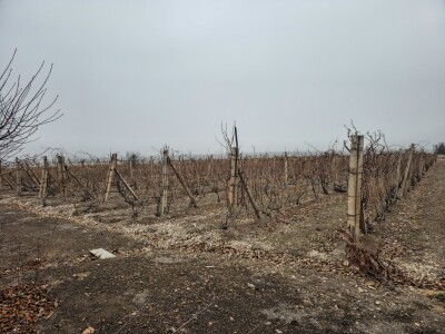 Կոդ KH-3322 Վաճառվում է ԿՈՄԵՐՑԻՈՆ ՏԱՐԱԾՔ