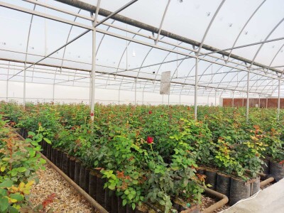 Կոդ KA-0306  Վաճառվում է ՋԵՐՄՈՑԱՅԻՆ ՏՆՏԵՍՈՒԹՅՈՒՆ