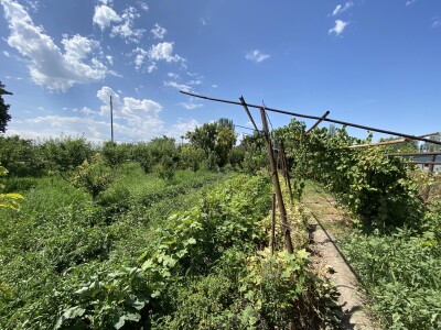 Կոդ AS-9988   Վաճառվում է առանձնատուն