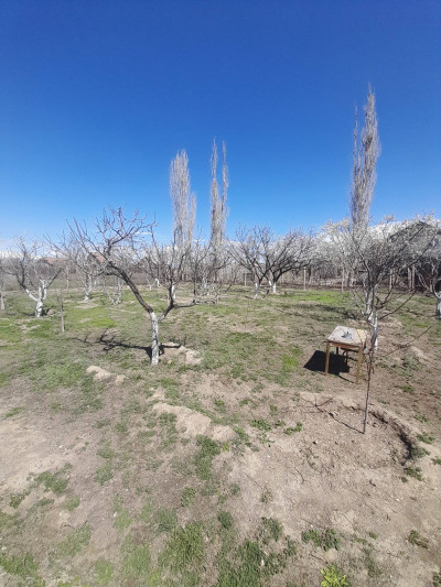 Կոդ AS-0145   Վաճառվում է առանձնատուն