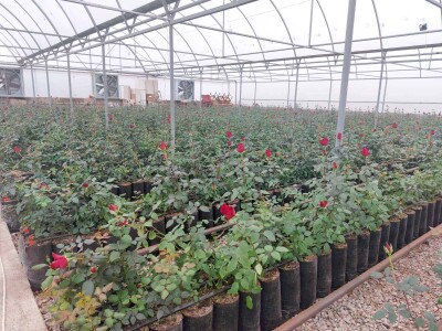 Կոդ KA-0306  Վաճառվում է ՋԵՐՄՈՑԱՅԻՆ ՏՆՏԵՍՈՒԹՅՈՒՆ