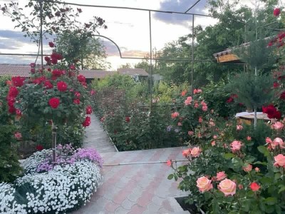 Կոդ AE-6001  Վաճառվում է նորակառույց առանձնատուն