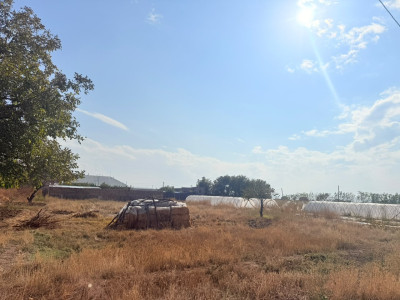 Կոդ HM-5999 Վաճառվում է տնամերձ հող