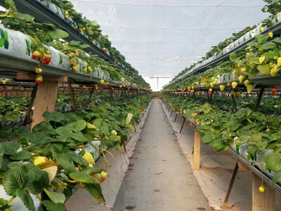 Կոդ KH-0006  Վաճառվում է ԳՈՐԾՈՂ ԲԻԶՆԵՍ