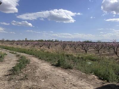 Code KS-9502. A plot of land is for sale.