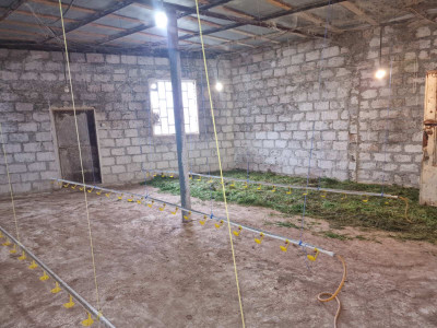 Կոդ KV-9909  Վաճառվում է ԳՈՐԾՈՂ ԲԻԶՆԵՍ (Հանգստյան գոտի)