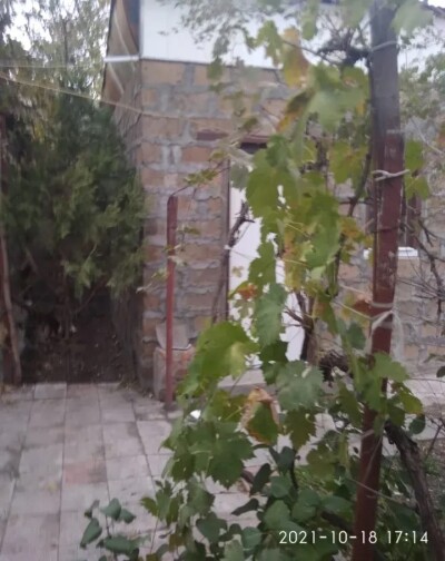 Կոդ 372 Վարձով է տրվում առանձնատուն