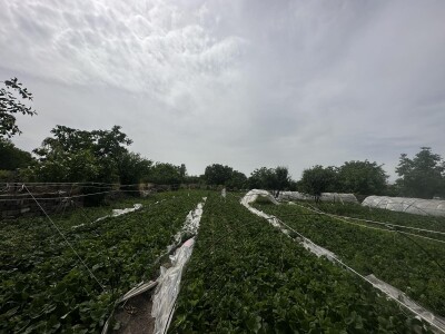 Կոդ AA-9445  Վաճառվում է երկհարկանի առանձնատուն