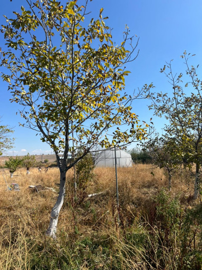 Կոդ HS-0986  Վաճառվում է հողատարածք