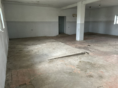 Կոդ 667 Վարձով է տրվում  ԱՐՏԱԴՐԱԿԱՆ ՏԱՐԱԾՔ