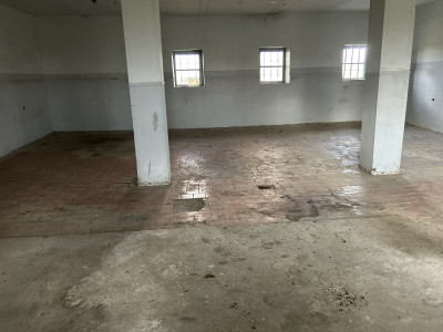 Կոդ 667 Վարձով է տրվում  ԱՐՏԱԴՐԱԿԱՆ ՏԱՐԱԾՔ