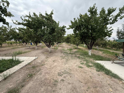 Կոդ KS-8885  Վաճառվում է ԳՈՐԾՈՂ ԲԻԶՆԵՍ