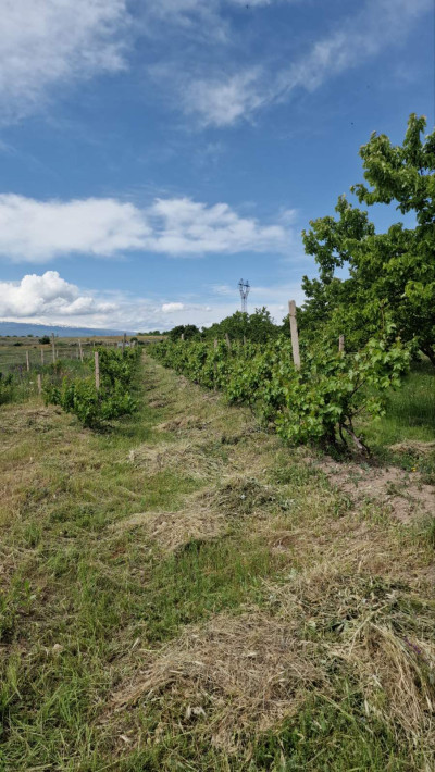 Կոդ HV-0199   Վաճառվում է վարելահող